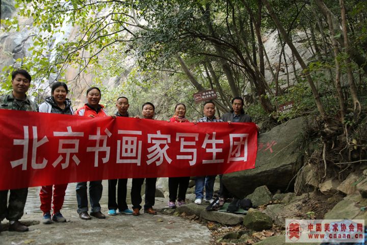 ��������д����Ӱ