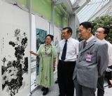 ���е��򾭼�Э����ҵ�ҹۿ�������Ʒ������߶�����