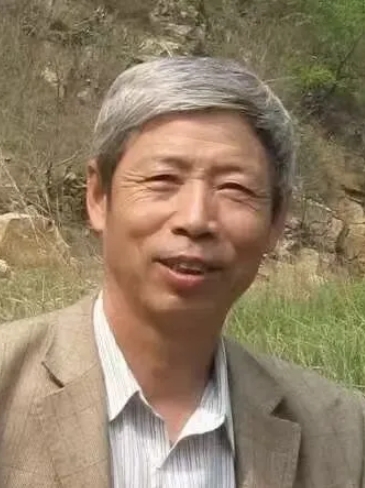 ����˳��Ƭ