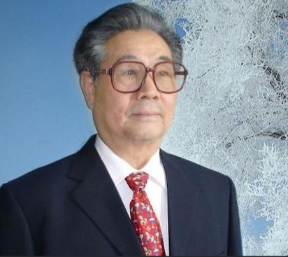 ������Ƭ