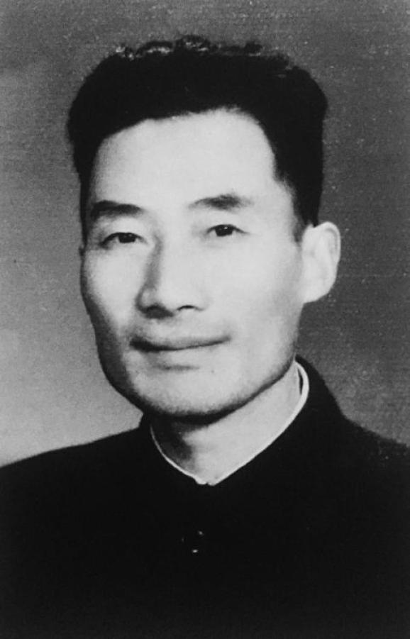 ��������Ƭ