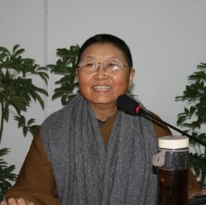 ������Ƭ