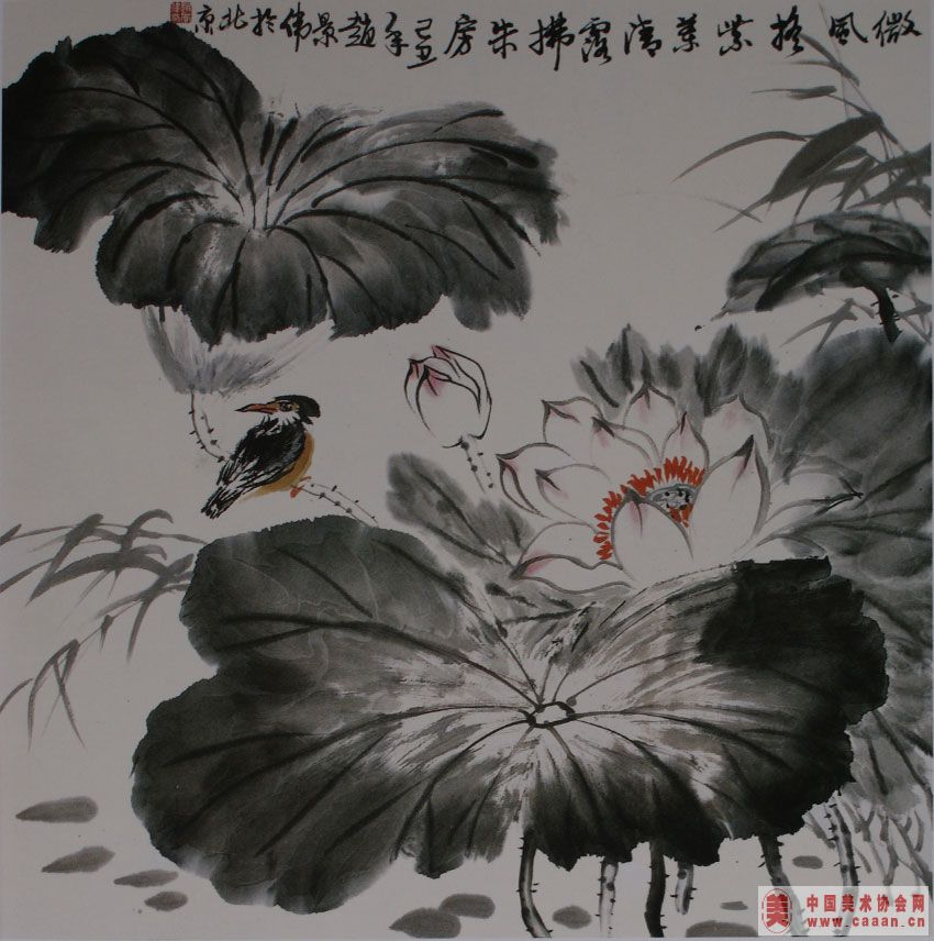 ��¶��ţ��