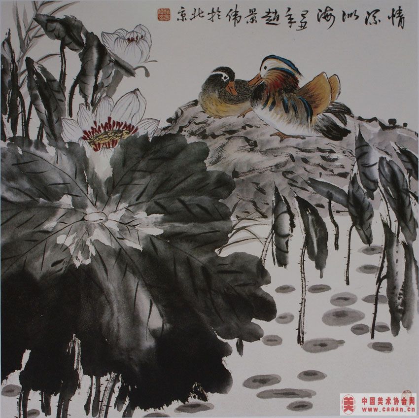 �����ƺ�