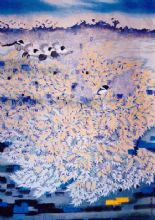 �߹�����Ʒ-��輾��