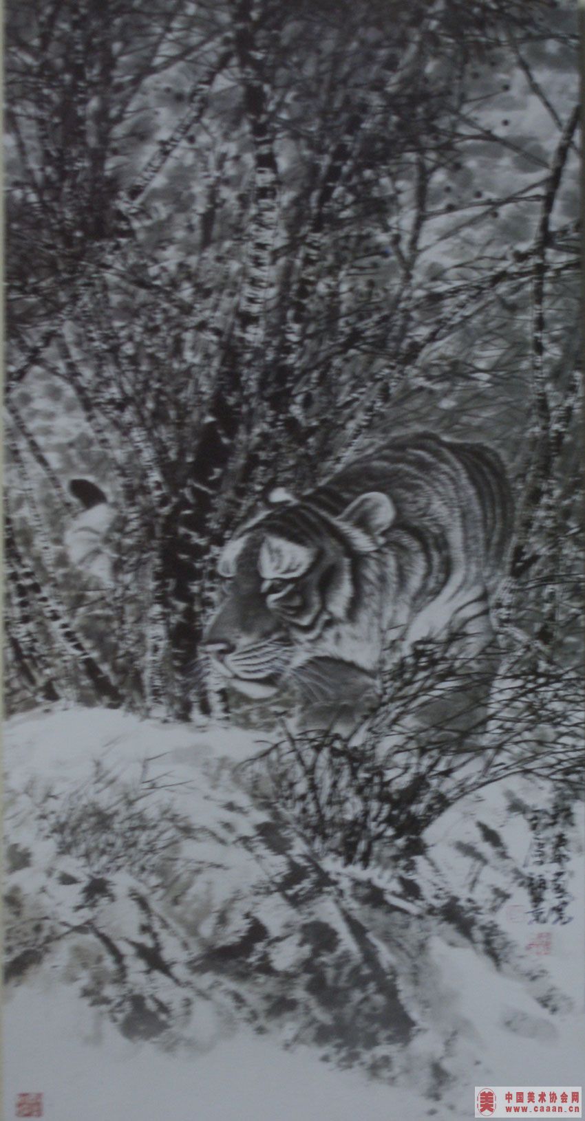 ����̩��Ʒ