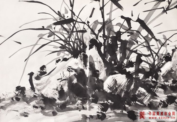 �����񡢴޻������֮Ʒ