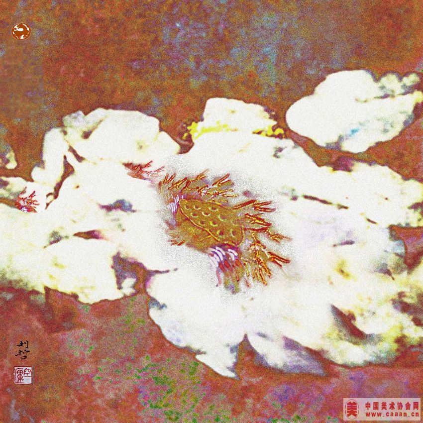 ����--�����Ҳ�