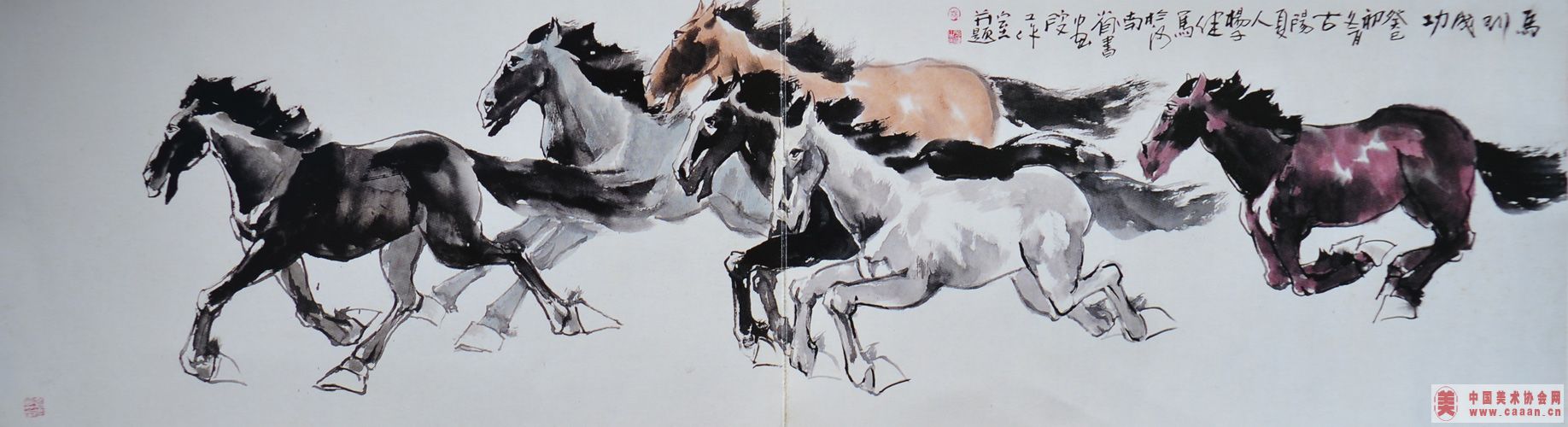 �����ɹ�