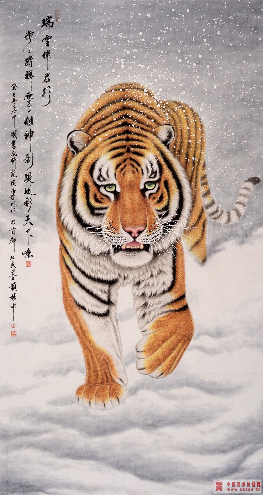 ��ѩ�����