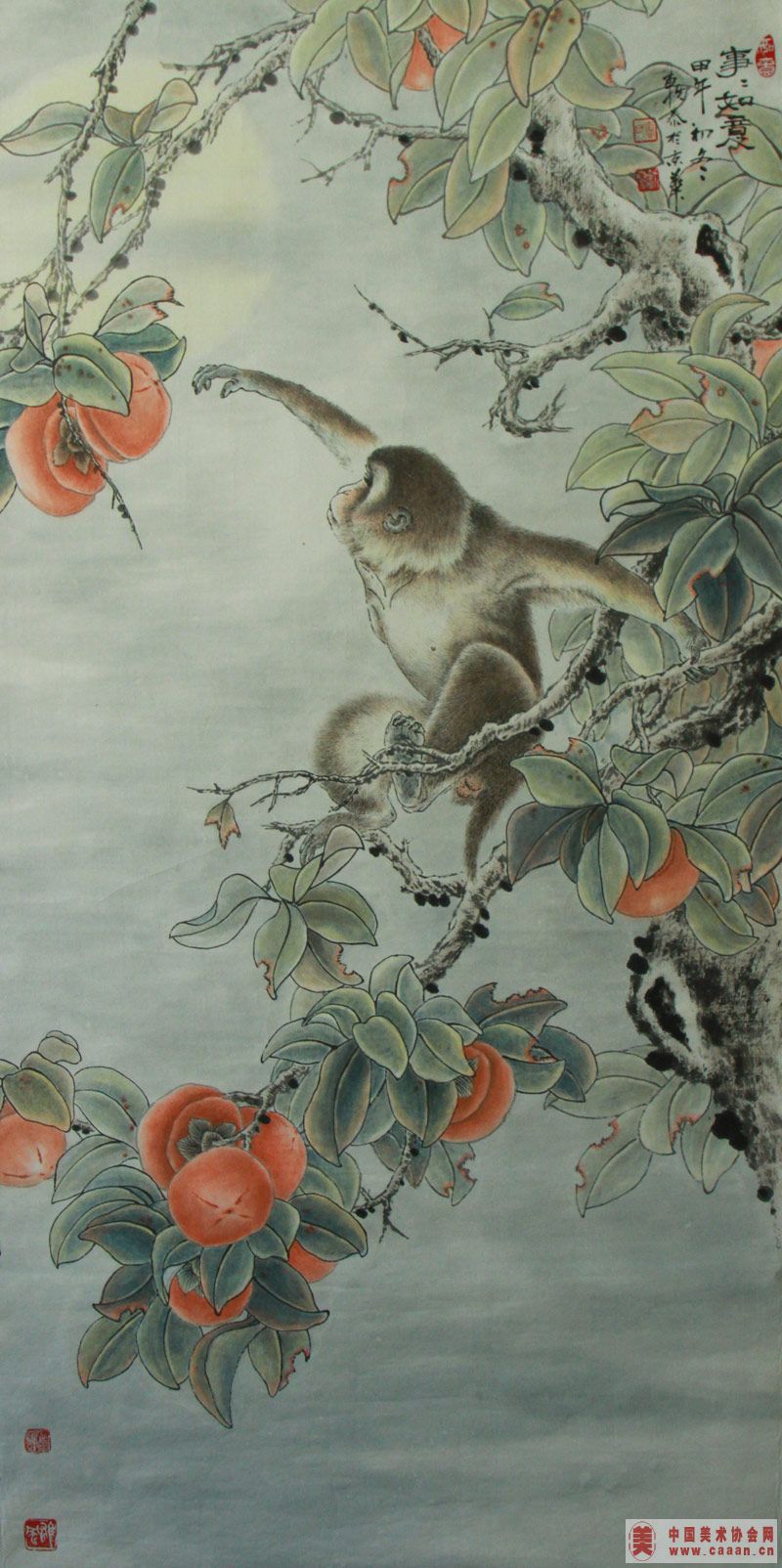 ��������