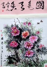 ��ɫ����