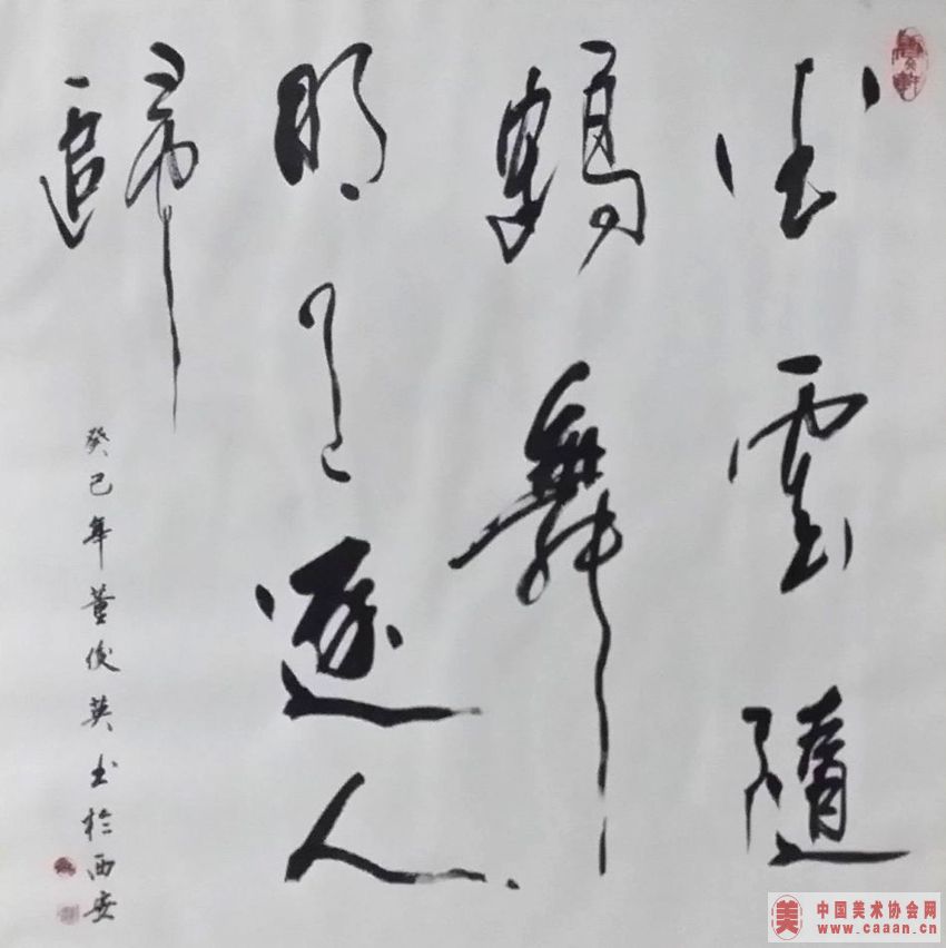 鷨