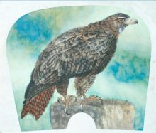 ������֦