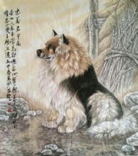 �������ͼ