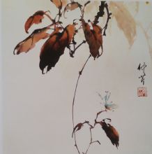 ��������Ʒ