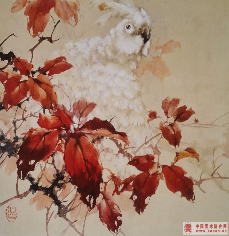 ��������Ʒ