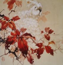 ��������Ʒ