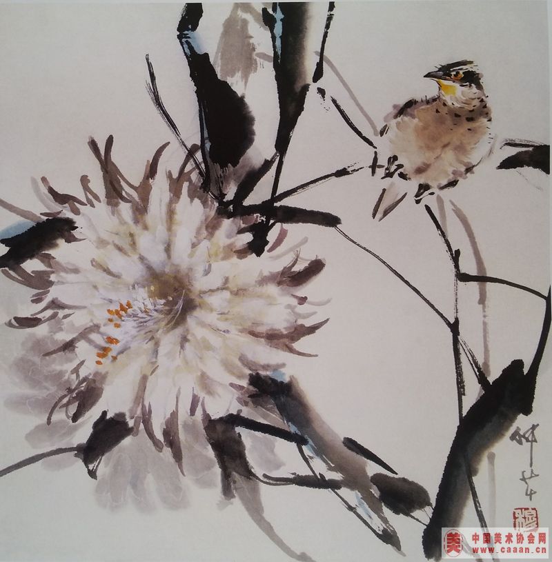 ��������Ʒ