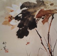 ��������Ʒ