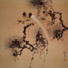 ��������Ʒ