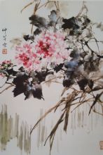 ��������Ʒ