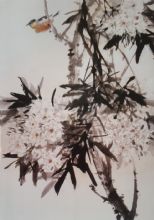 ��������Ʒ