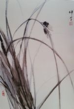 ��������Ʒ