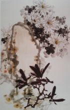 ��������Ʒ