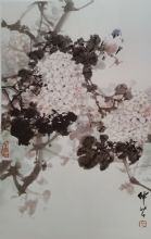 ��������Ʒ