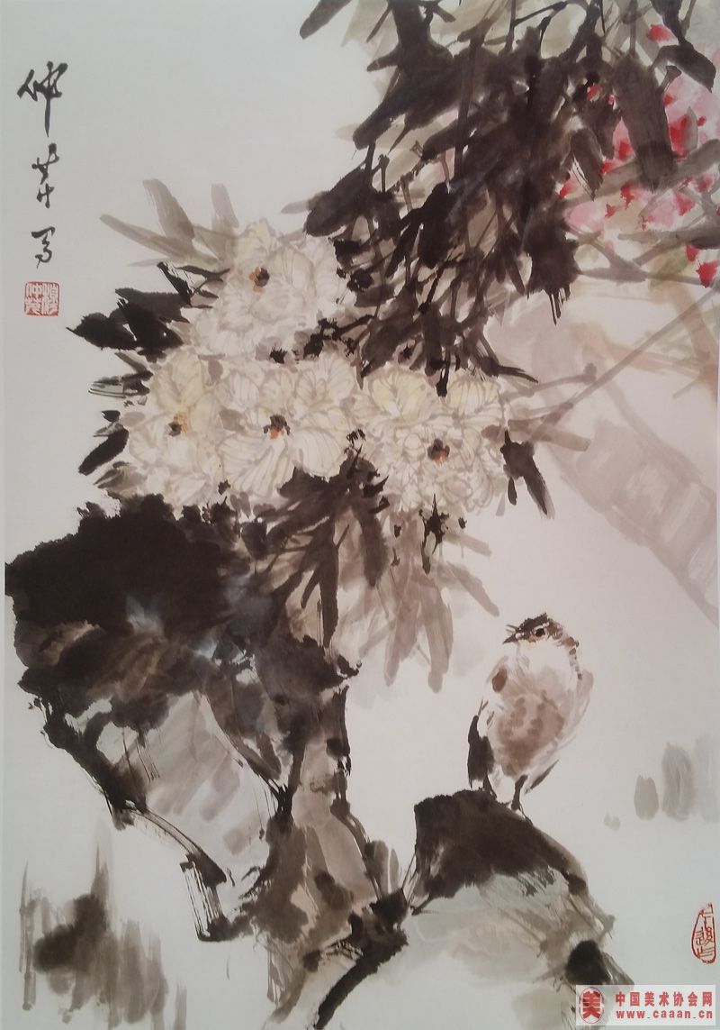 ��������Ʒ