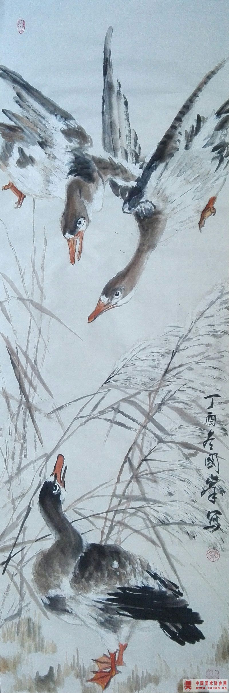 ���ͼ