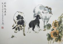 ��̩���˲�����Ф��