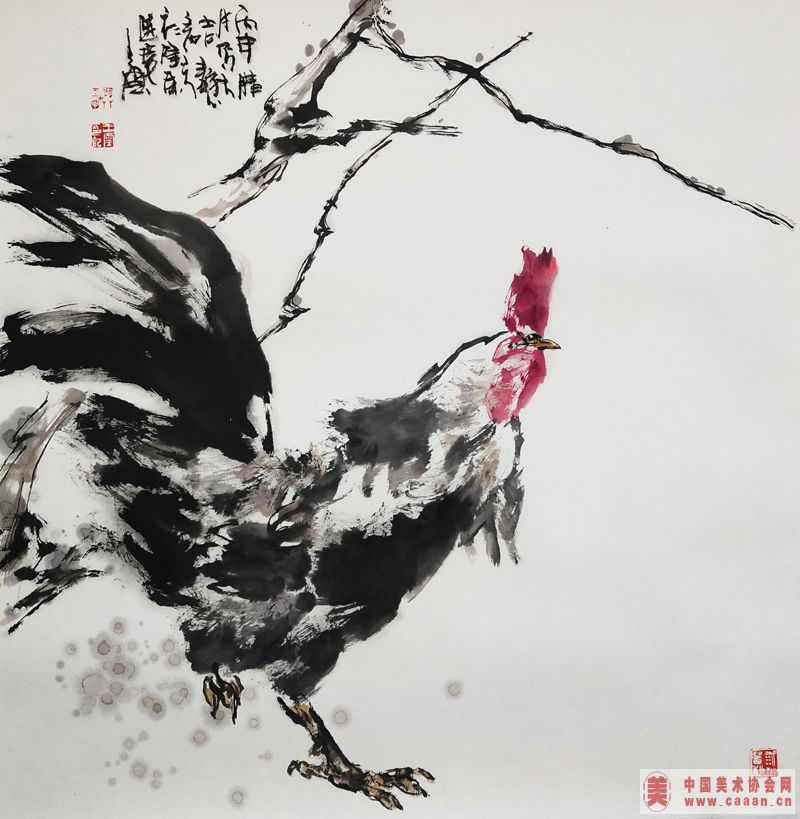 ������Ʒ