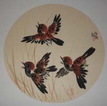 ��������Ʒ