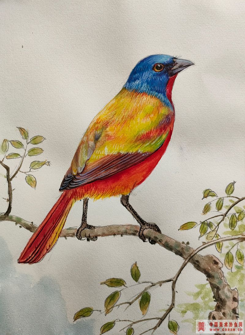 �������Ʒ