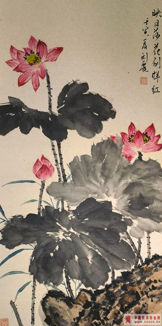 ӳ�պɻ�������