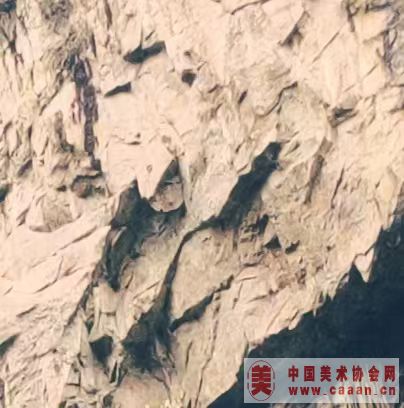 ��������Ʒ