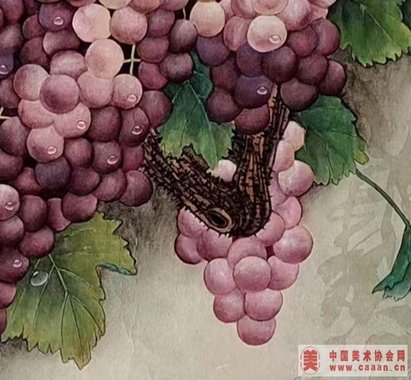 ��������Ʒ