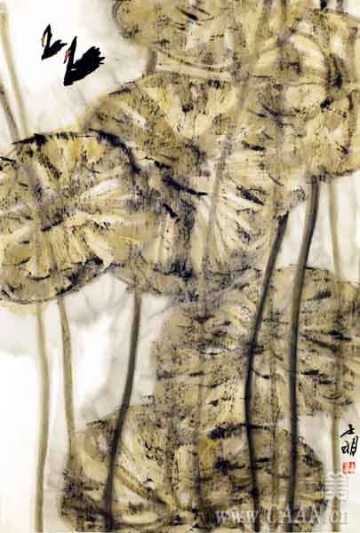 ��������