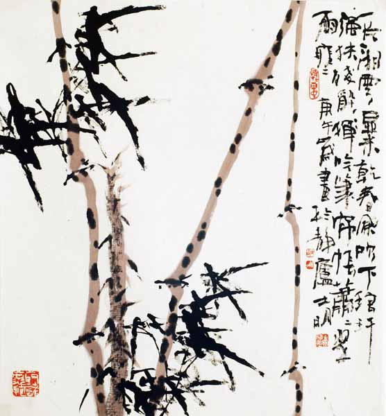 ��������