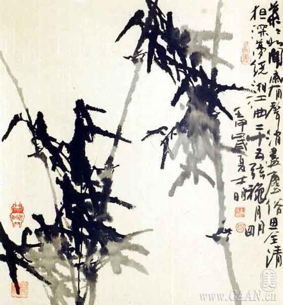 ҹҹ������