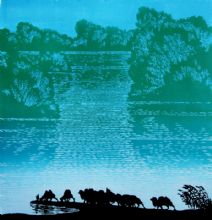 ��ȸ����