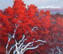 ����ɽ458��54��1997