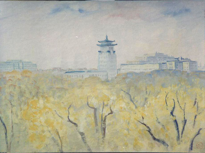 �������巹��